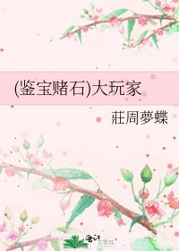 (鉴宝赌石)大玩家