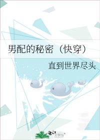 男配的秘密（快穿）