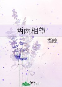 两两相望